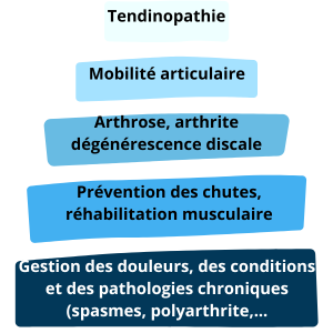 Douleurs articulaires, arthrose, discopathie chiropraxie personnes agées